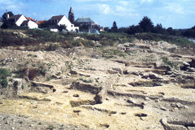 Le projet de construction d'un lotissement au lieu-dit "Le Village" est à l'origine de la découverte d'une nécropole mérovingienne contenant près de 350 tombes.